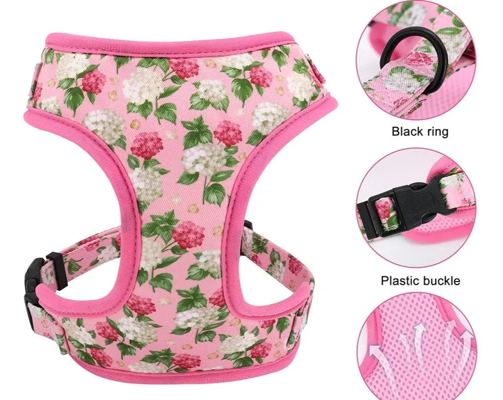 Cute Flower Print Dog Collars & Leash Sets-Personalized Nylon Harness and Leash Set with Custom ID Collars for Small Pets