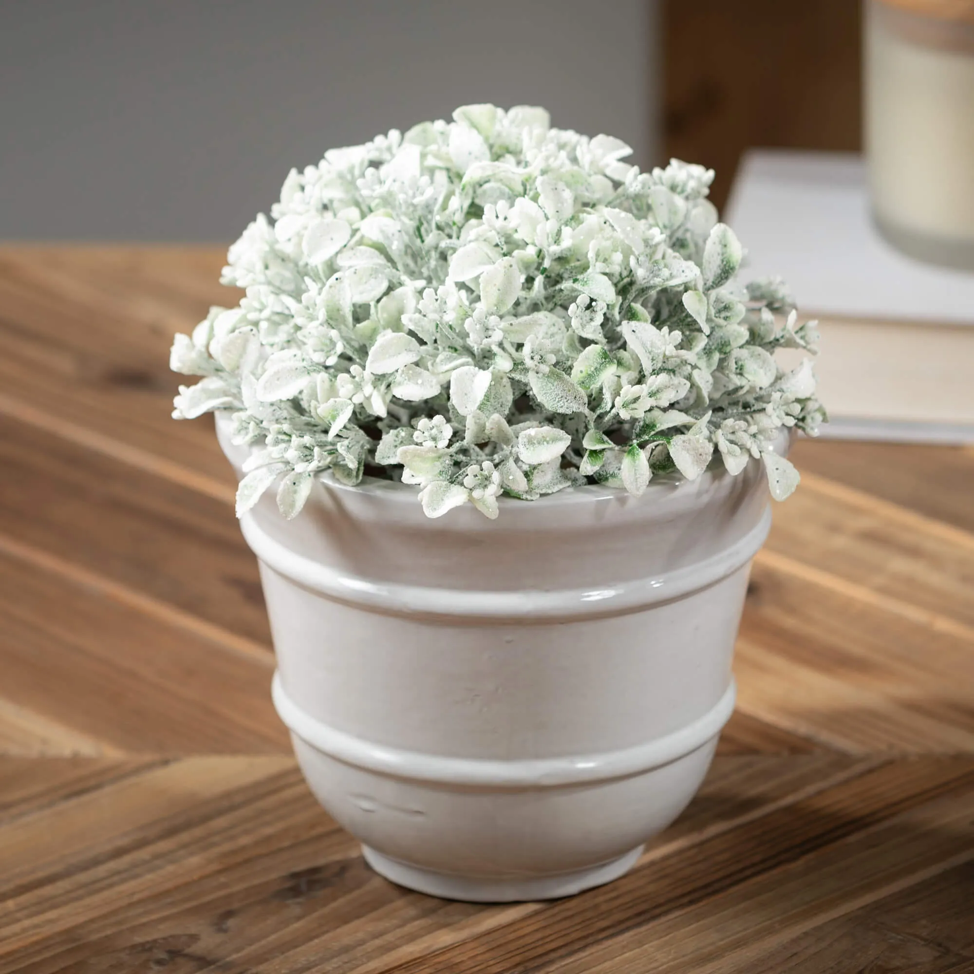 Frosted Green Boxwood Orb