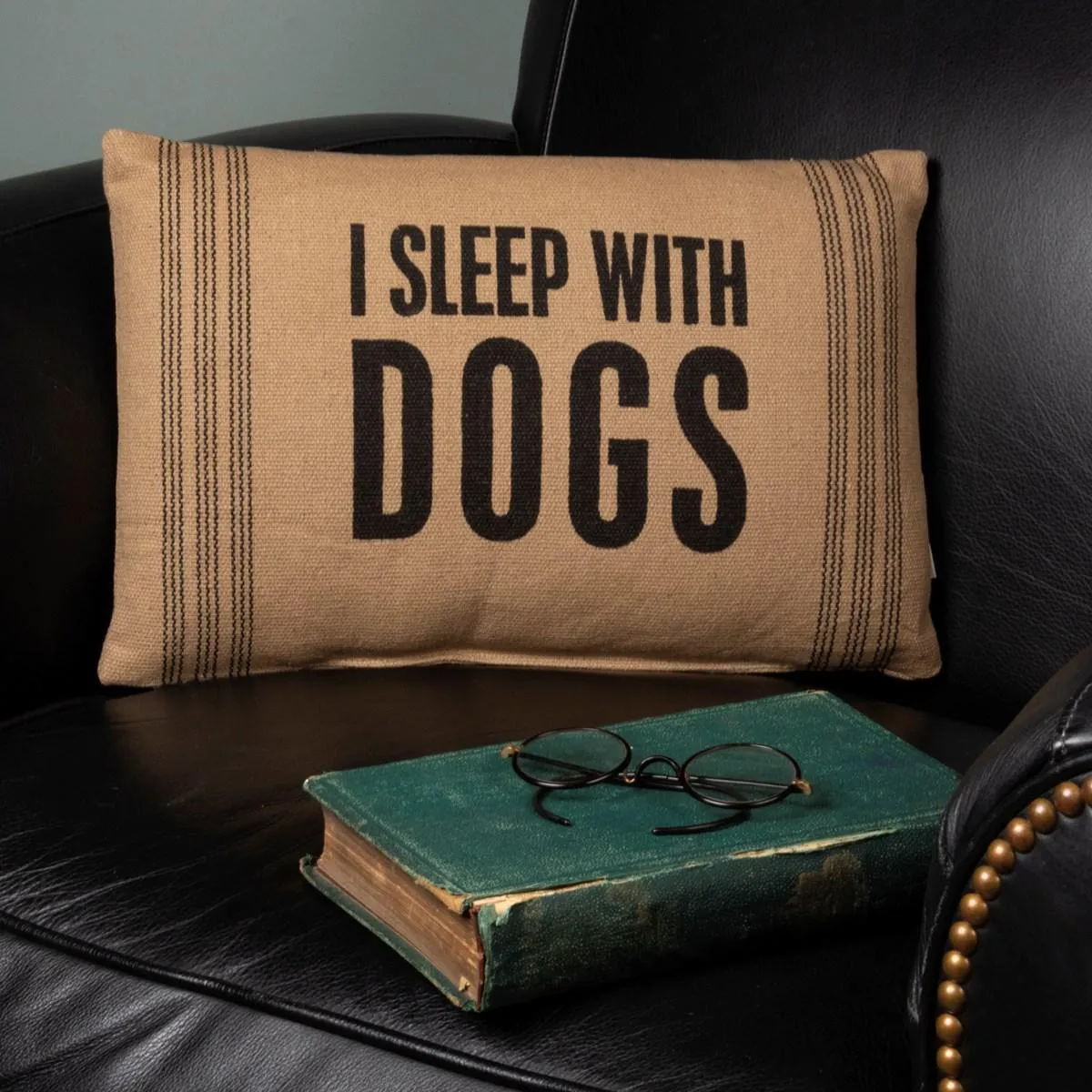 I Sleep With Dogs Pillow