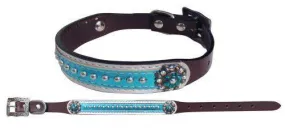 Leather Dog Collar with Metallic Teal Overlay