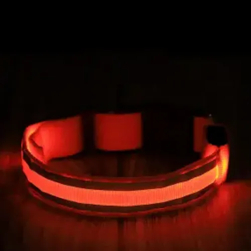 Luminous Glow Pet Collar