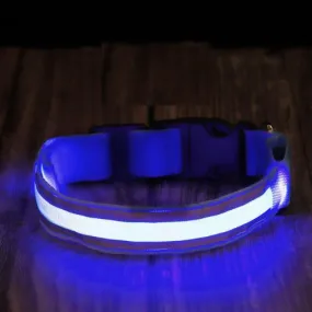 Luminous Glow Pet Collar