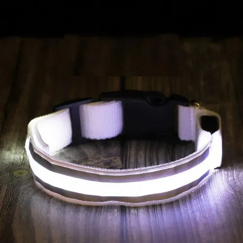 Luminous Glow Pet Collar