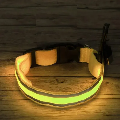 Luminous Glow Pet Collar