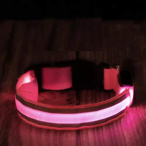 Luminous Glow Pet Collar