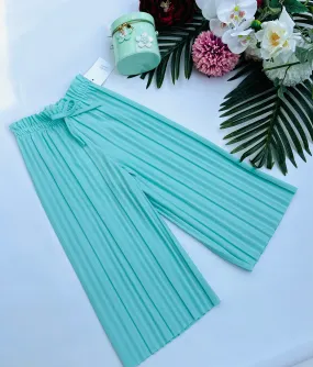 Mint culottes pants