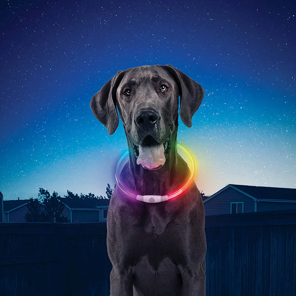 Nite Ize NiteHowl Disc-O Rechargeable LED Safety Dog Necklace