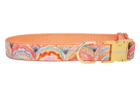 Sunrise Shells Dog Collar